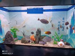 -烟台海昌鲸鲨海洋公园