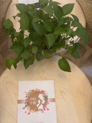 -北京俪婴妇产医院(朝阳大悦城店)