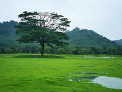-风云岭森林公园