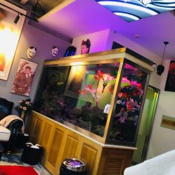 -雕哥的纹身店A3 TATTOO&纹身培训