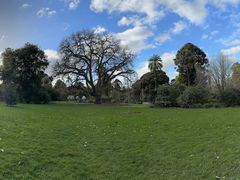 -墨尔本皇家植物园