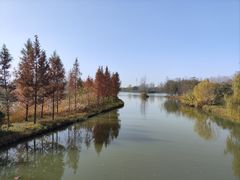 -溱湖国家湿地公园