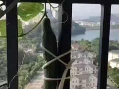 -松岗(地铁站)