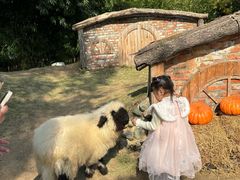 -HERRE·FARM 赫尔露营农场·团建聚会包场