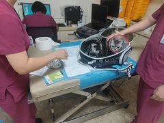 -美联众合动物医院·24h转诊中心