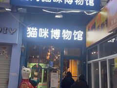 -猫咪博物馆(顶澳仔猫街店)