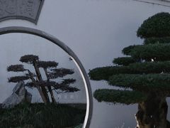 -绮园景区