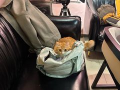 -BGM CLUB二次元主题桌游店(康王路店)