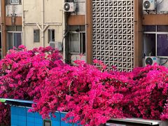 -小南山公园