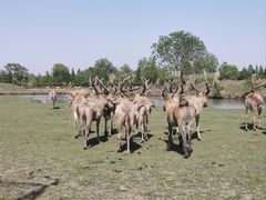 -溱湖国家湿地公园