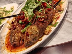 -张刚餐饮(春晓馨苑店)