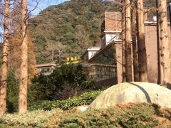 宁海森林温泉度假村-天明山温泉大酒店