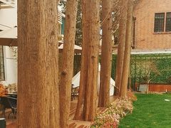 -一尺花园(安和花园店)