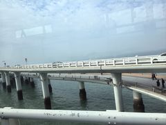 -演武大桥观景平台