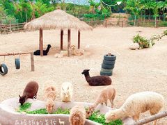 -泉州海丝野生动物世界