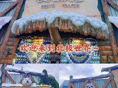 -海合安成都极地海洋公园