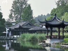 -日出青木