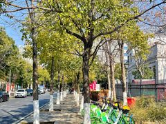 -岳阳市博物馆