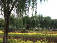 景点-南湖湿地公园