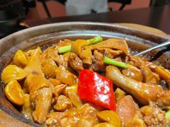 栗子闷乳鸽-羽鸽集·乳鸽专门店·地道顺德菜(岭南站店)
