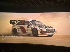 -万达影城(闵行颛桥万达广场杜比影院店)