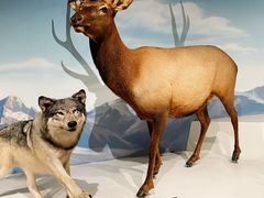 -陕西自然博物馆