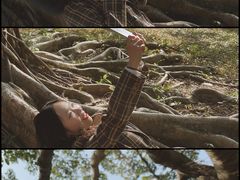 -南沙蒲洲花园