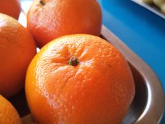 -亲兄弟真人CS团建拓展基地