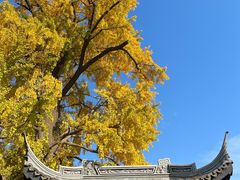 -惠山古镇·寄畅园