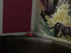 -金青果甄选KTV(劳动公园店)