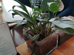 -花舍·新派粤菜·西餐·下午茶(亚运村·鸟巢店)