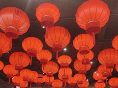 -二胖家铁锅炖大鹅(双井店)