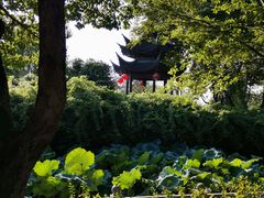 -丝绸小镇荻港古村