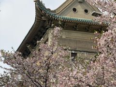 -武汉大学-樱园