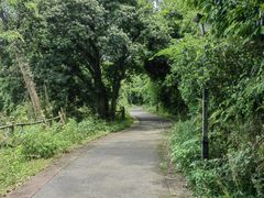 -四明湖