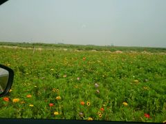 android_upload_pic-太平河公园