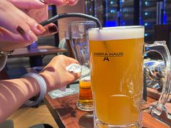 -Ambra Haus琥珀屋精酿餐厅(宝山店)