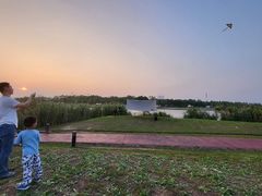 -春花秋色城市公园