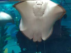 -鸿通城购物中心