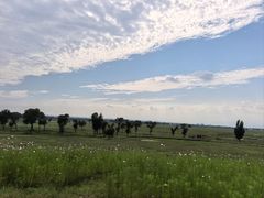 -敕勒川草原