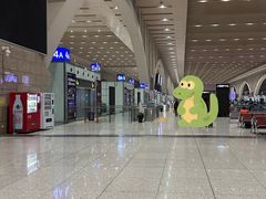 -石家庄站