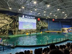 -威海华夏城景区