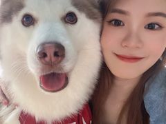 -Husky Go! 哈士奇体验馆·宠物咖啡厅狗咖