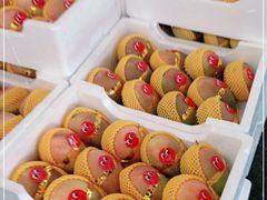 -西郊国际农产品交易中心