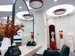 点击看大图 -IP SALON