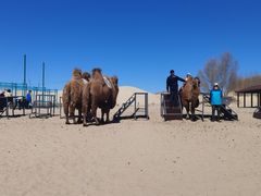 -库伦旗银沙湾旅游景区