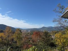 -塔川景区