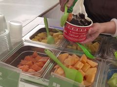 -Salud撒露欧洲冻酸奶(五道口购物中心店)