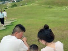 -大姆山草场