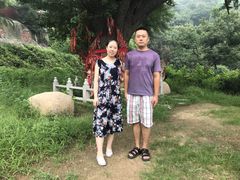 -遵化市禅林寺古银杏风景园